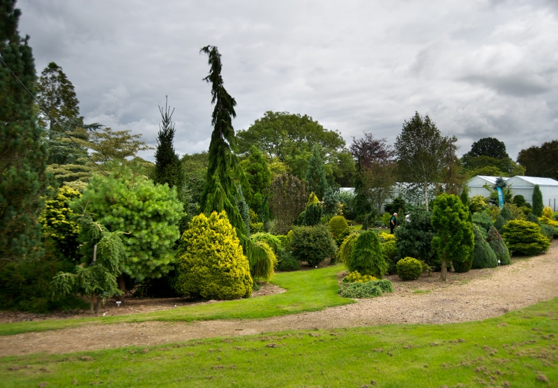 Lime Cross Pinetum & Secret Vineyard